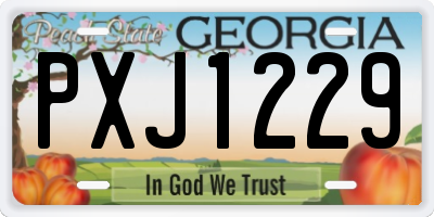 GA license plate PXJ1229