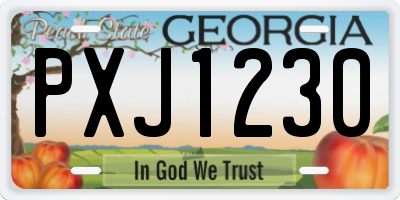 GA license plate PXJ1230