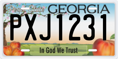 GA license plate PXJ1231