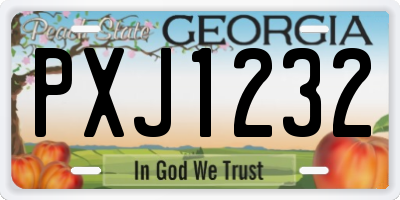 GA license plate PXJ1232