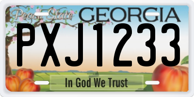 GA license plate PXJ1233