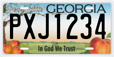 GA license plate PXJ1234