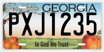 GA license plate PXJ1235