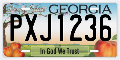 GA license plate PXJ1236