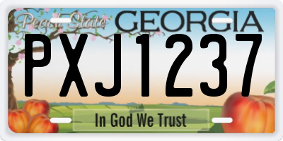 GA license plate PXJ1237