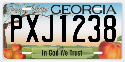 GA license plate PXJ1238