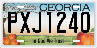 GA license plate PXJ1240