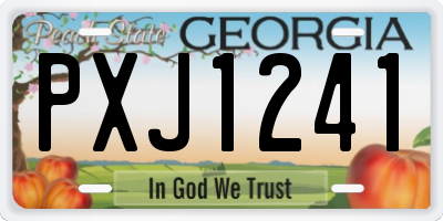 GA license plate PXJ1241