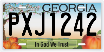 GA license plate PXJ1242
