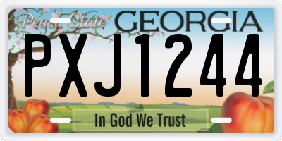 GA license plate PXJ1244
