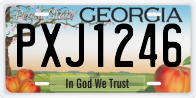 GA license plate PXJ1246