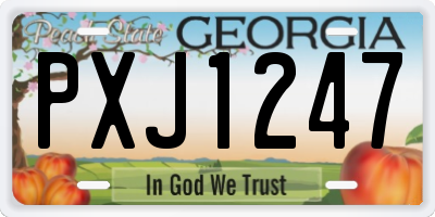 GA license plate PXJ1247