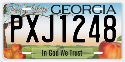 GA license plate PXJ1248