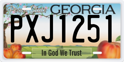 GA license plate PXJ1251