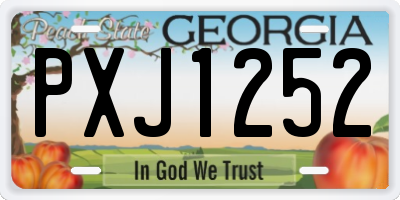 GA license plate PXJ1252