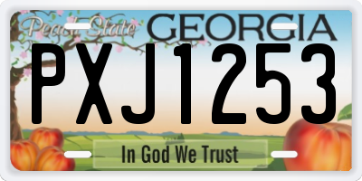 GA license plate PXJ1253