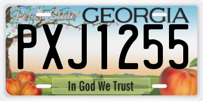 GA license plate PXJ1255