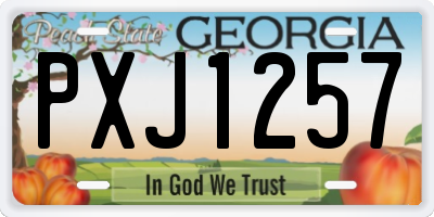 GA license plate PXJ1257