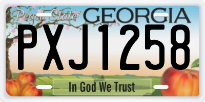 GA license plate PXJ1258