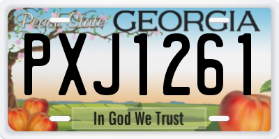 GA license plate PXJ1261