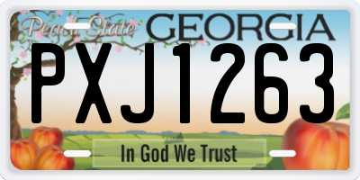 GA license plate PXJ1263