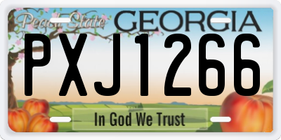 GA license plate PXJ1266