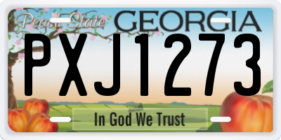 GA license plate PXJ1273