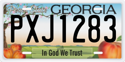GA license plate PXJ1283
