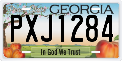 GA license plate PXJ1284