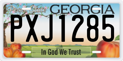 GA license plate PXJ1285