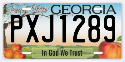 GA license plate PXJ1289