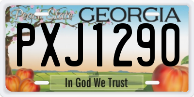 GA license plate PXJ1290