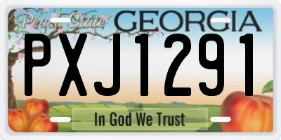 GA license plate PXJ1291