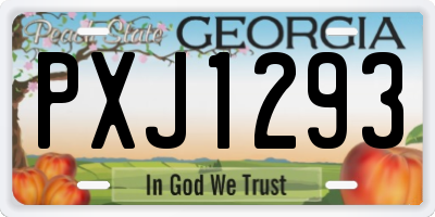 GA license plate PXJ1293
