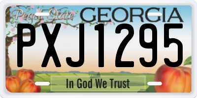 GA license plate PXJ1295