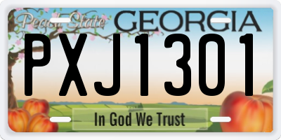 GA license plate PXJ1301