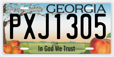GA license plate PXJ1305