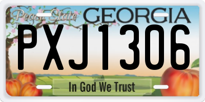 GA license plate PXJ1306