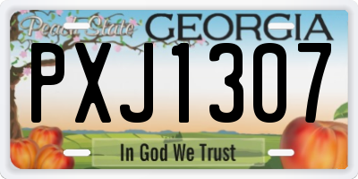 GA license plate PXJ1307
