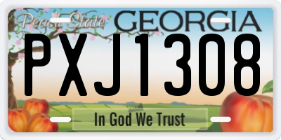 GA license plate PXJ1308