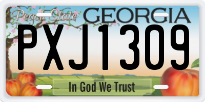 GA license plate PXJ1309