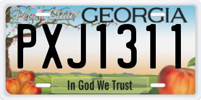 GA license plate PXJ1311