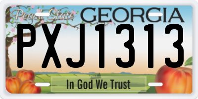 GA license plate PXJ1313