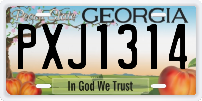 GA license plate PXJ1314