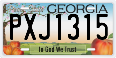 GA license plate PXJ1315