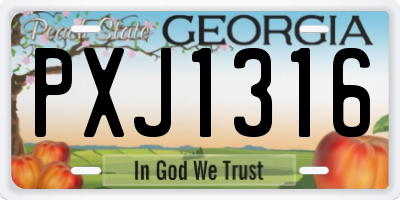 GA license plate PXJ1316
