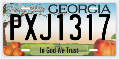 GA license plate PXJ1317