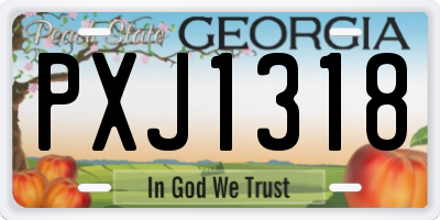 GA license plate PXJ1318