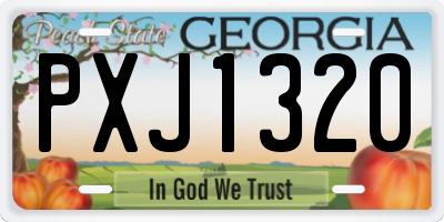 GA license plate PXJ1320