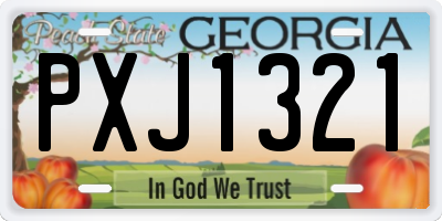 GA license plate PXJ1321